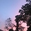 Skyy